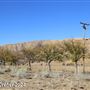 Tejon Ranch