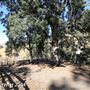 Tejon Ranch