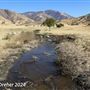 Tejon Ranch