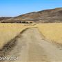 Tejon Ranch