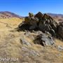 Tejon Ranch