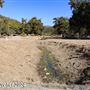 Tejon Ranch