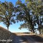Tejon Ranch