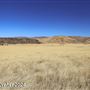 Tejon Ranch