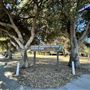 Encino Community Center