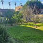 Front yard in quiet Long Beach Neighborhood