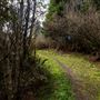 Azalea State Natural Reserve (SNR)