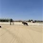 RsP Solomon Ranch