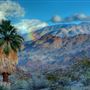 Palm Desert