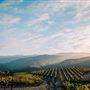Holman Ranch