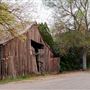 Rankin Ranch - California Cattle & Guest Ranch