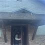 Twin Pines Ranch