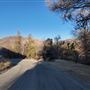 Twin Pines Ranch
