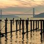 Angel Island State Park (SP)