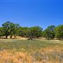 Anderson Marsh State Historic Park (SHP)