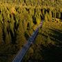 Everitt Memorial Highway