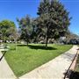 Garfield Park