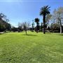 Garfield Park