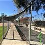Orange Grove Park