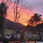 River Oaks Ranch