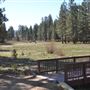 Camp Whittle