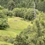 Long Creek Ranch