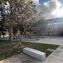 Los Angeles Valley College - LAVC
