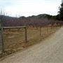 Calico Ranch Apple Orchard