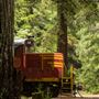 Skunk Train - California Western Railroad