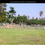 Dusty Rhodes Dog Park