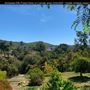 Enchanted Elfin Forest Home on 2 private acres