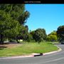 Golden Hill Park