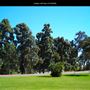 Golden Hill Park