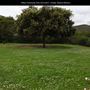 Hilltop Community Park