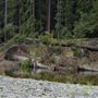 Benbow State Recreation Area (SRA)