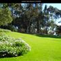 Junipero Serra Museum