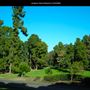 Junipero Serra Museum