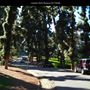Junipero Serra Museum
