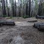 Big Basin Redwoods State Park (SP)