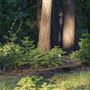 Burton Creek State Park (SP)