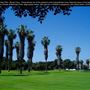 Mission Bay Parks