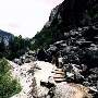 Kings Canyon National Park