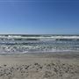 Torrey Pines State Beach (SB)