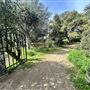 Lummis Home and Gardens