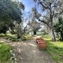 Lummis Home and Gardens