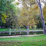One Mile Recreation Area (AKA Sycamore Pool)