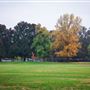 Community Park