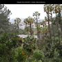Presidio Park