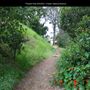 Presidio Park