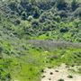 DAM Ranch